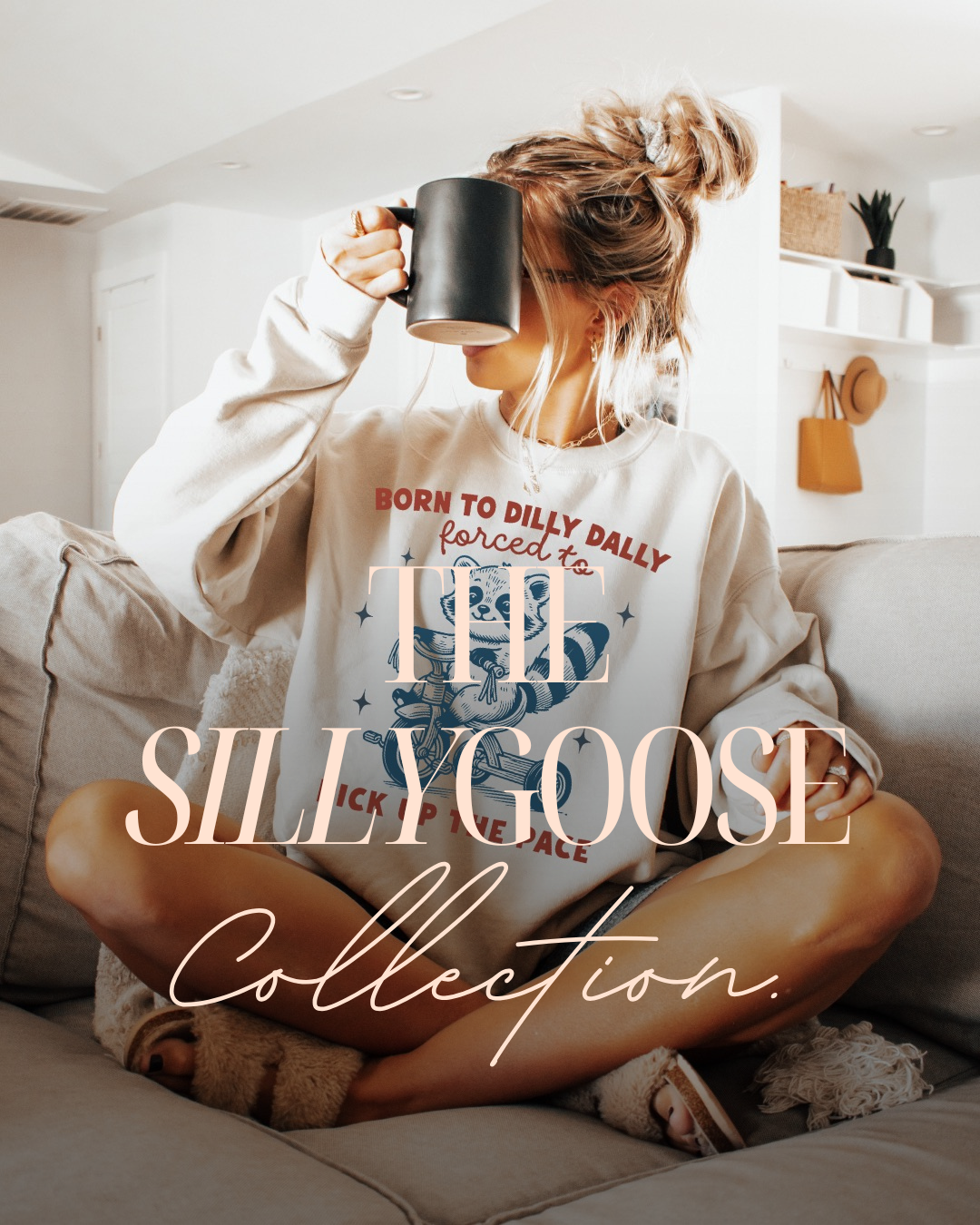 The Silly Goose Collection
